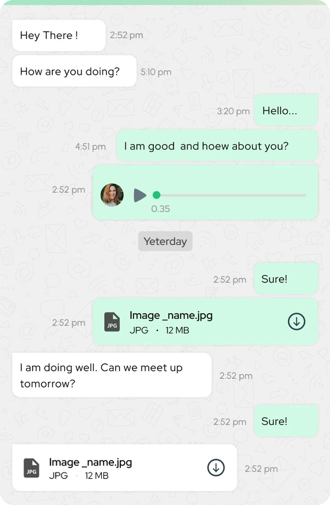 Conversation with received and sent messages, a voice note and file messages
