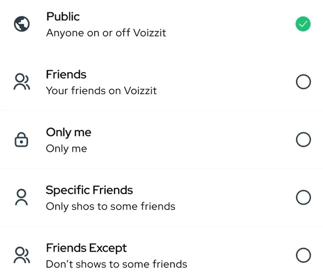 Choose audience: public, friends, only me, specific friends, friends except